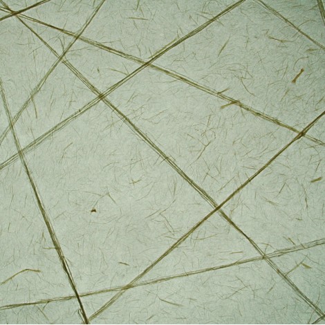 Osada lines